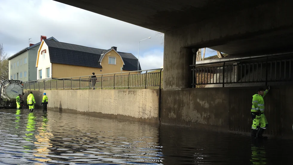 Foto: Lina Andersson