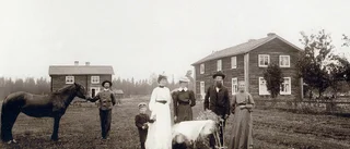Boliden - Okänd, 1907