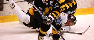 Förre Skellefteå AIK-forwarden blir tränare i AHL