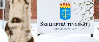 Kort straff för stulen skruvdragare