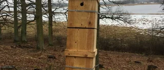 Här ska de bygga hem åt insekterna