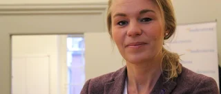 Mamkovic (SD) ifrågasätter Jarl (M)