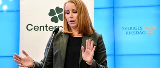 Attacker mot Centern efter budgetbeslutet