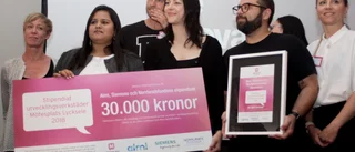 Bästa idéerna prisades på Mötesplats Lycksele
