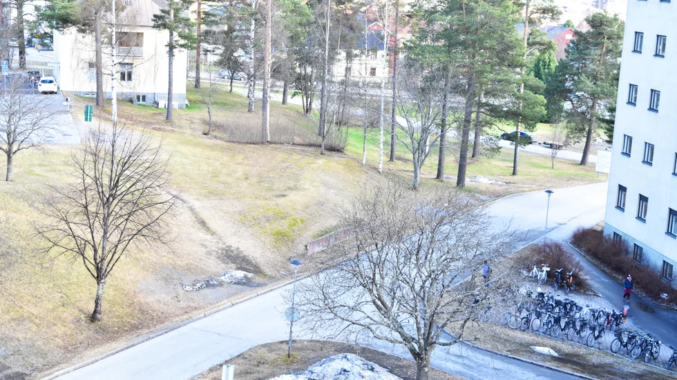 Kullen till vänster i bild ska grävas bort och ge plats åt bland annat ett busshållplats.
