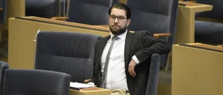 Sverigedemokraternas bruna historia pågår här och nu