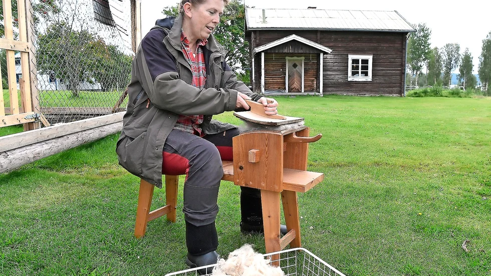 Hantverk. Ullen måste kardas och förberedas före det går att spinna. Foto: Jeanette Lövgren.