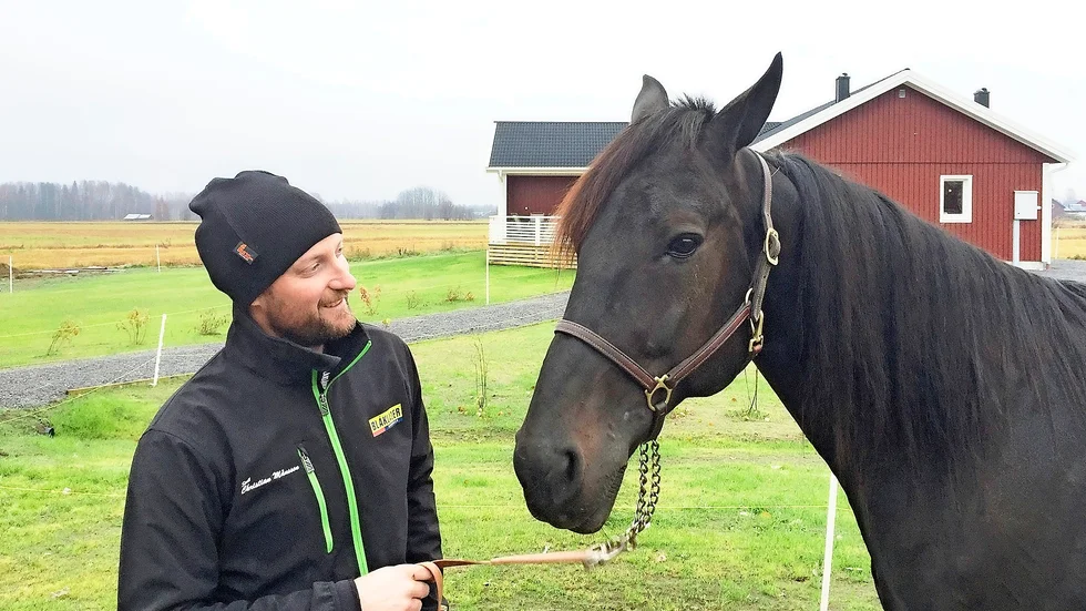 Nyförvärv. Christian Månsson med Proud Victory Rose – ett av stallets nyförvärv i höst. ”Han är nykastrerad och har haft en del överträningssympton, men han har inte gjort så himla många starter trots att han är åtta år och jag tror han har mycket kvar att hämta”, säger Månsson.
