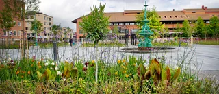 Stadsparken prisad: Fick silver i Europatävling
