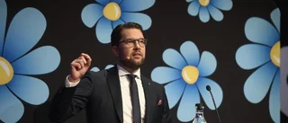 Åkesson vill inte göra SD radikalare nu