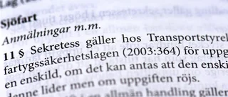Karin Pihl: Låt inte regeringen snacka bort IT-skandalen