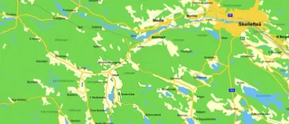 Ge oss lite stöd och vi växer, stryp oss och vi dör
