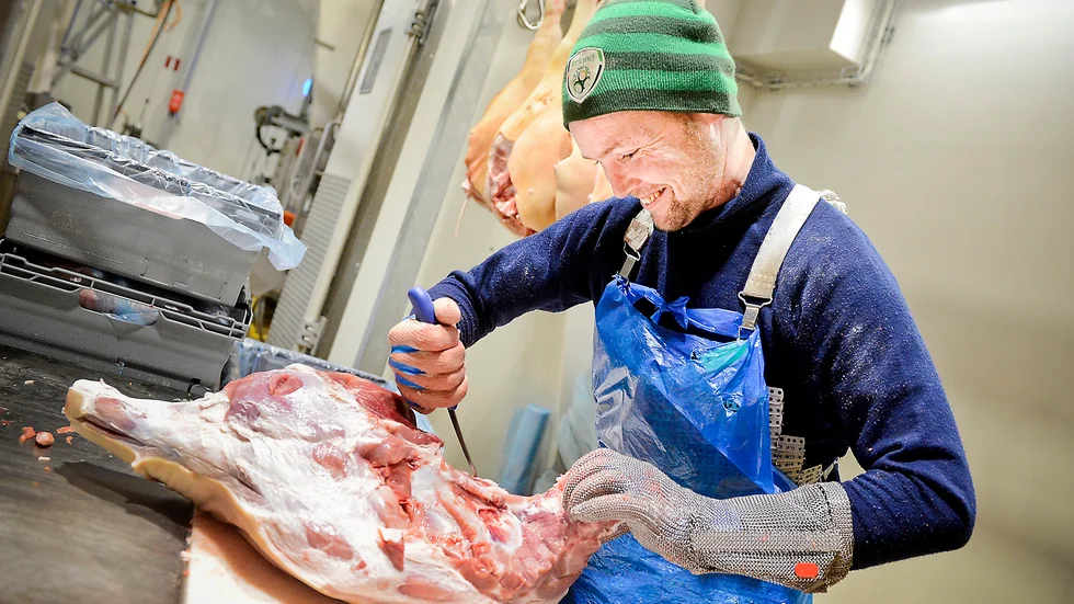 Van hand. Sean Hamilton skär ut skinka efter skinka i ett snabbt tempo. Foto: Leif Andersson.