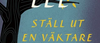 Med fokus på rasfrågan