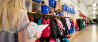 Inget visar att elever lär sig mer på större skolor