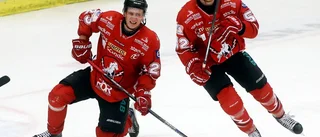 Hästen tillbaka i gamla synder