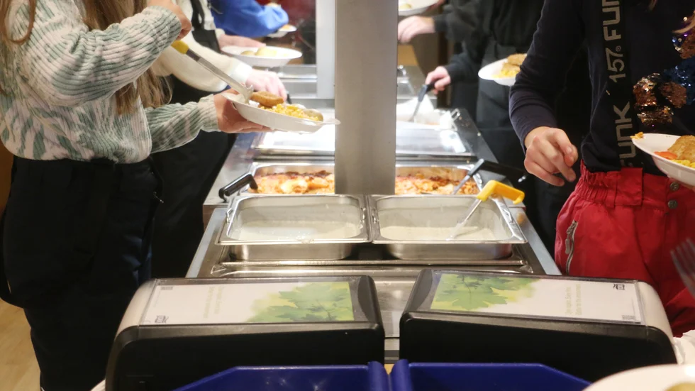 Var kommer skolmaten ifrån? Vid en jämförelse med läget inför den förra upphandlingen visar det sig att det nu serveras mer svenskt kött än tidigare, men att merparten av fisken till exempel kommer från Kina och Sydafrika.