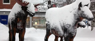 Attraktion dold under snötäcket