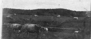 Skråmträsk - okänt årtal