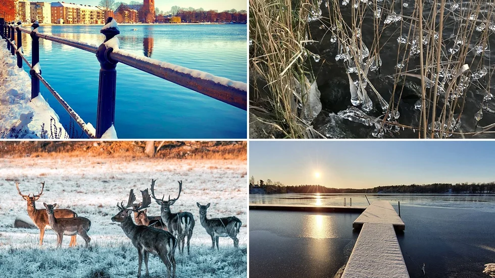 Under flera dagar har våra läsare fått ladda ner sina vinterbilder. Här ser ni ett utdrag av fyra bilder som du hittar i större format här nedan.