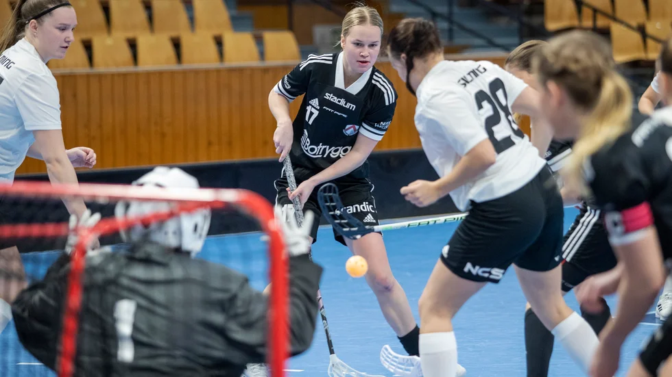 Stina Andersson jobbade och slet mycket, men Libk föll mot Västra Mälardalen med 2-4.