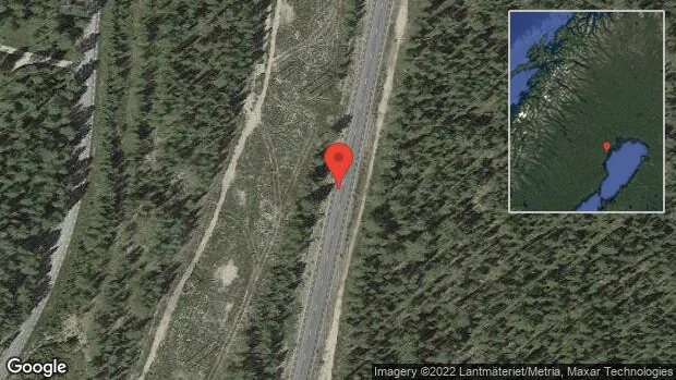 Älgar på vägen på väg 506