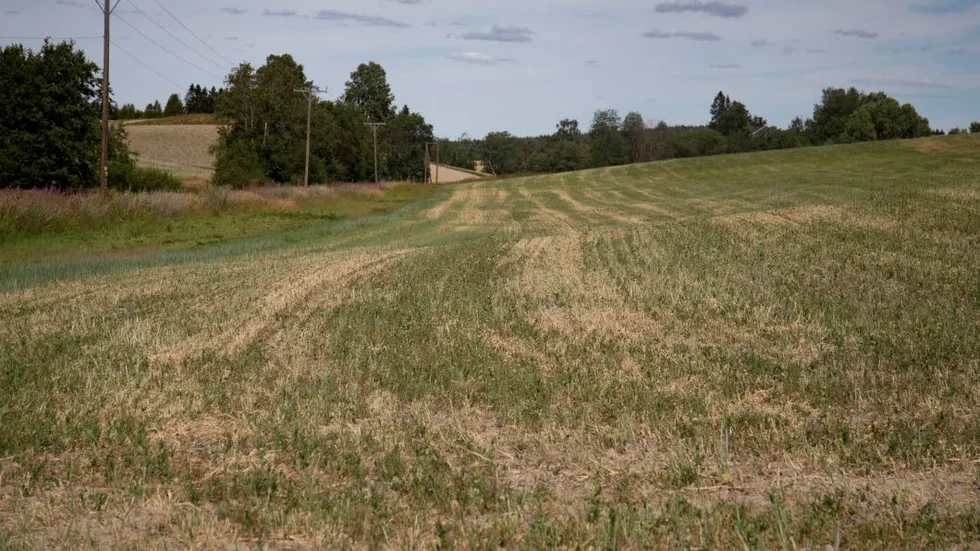 Klimatförändringarna är här, konstaterar skribenten.