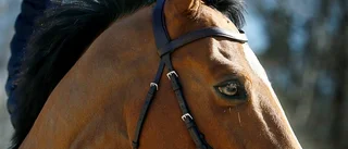Kajsa Björe redo för Göteborg Horse Show: "Det känns jättestort"