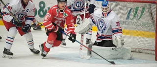 Viktig spelare stannar i Gripen