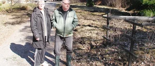 Jägare stöttar par efter vildsvinsbesök: "Blir det fler invasioner får de höra av sig"