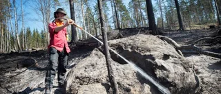 Här bränner de ner skogen – för att gynna djurlivet