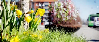 Årets påskpynt på plats i Eskilstuna