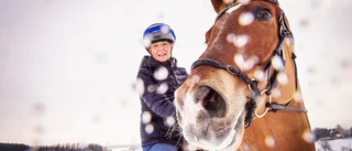 Tung snöträning ska ge Freskgård kanonform i vår