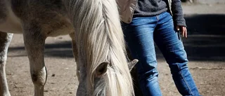Andas med hästar hos Catharina