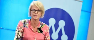 Hade Elisabeth Svantesson extra kostnader?