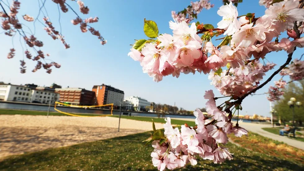 April har varit varmare än normalt.