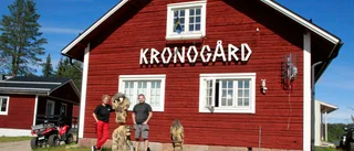 Efter svåra olyckan – vändningen tog Korsträskarna till Kronogård: "Det har varit helt galet"