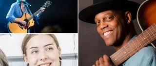 Världsnamn till Visbyfestivalen: Mötte Dylan med pyjamas – ”Jag spelar också gitarr”