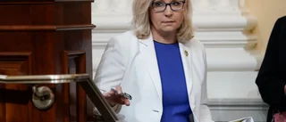 Knockout eller nystart för Trumps nemesis?