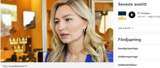 Ledarskribenterna betygsatte Ebba Buschs insats i P1