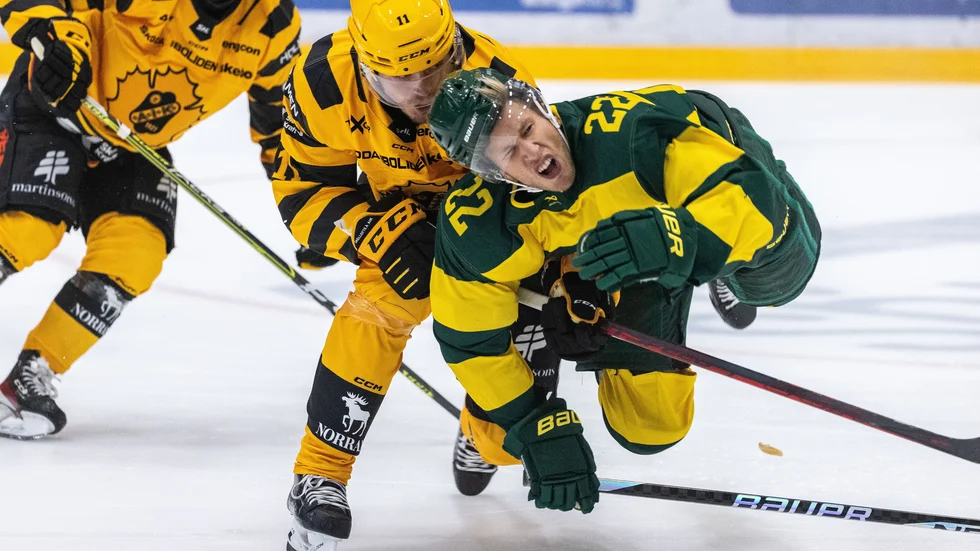 Max Lindholm och Skellefteå AIK kommer att ställas mot Fredric Weigel och Björklöven igen i höst.