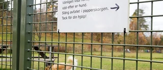 Rastgård diskuteras på torsdag