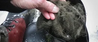 Girlpower blev räddningen på överlevnadskurs i Jämtland