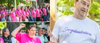 TV • SD Gotlands ordförande knuffade aktivist – polisanmälan upprättad • ”De blockerar vägen – hemskt bedrövligt”