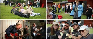 Premiär för Folk och fä – en ny festival: "Det känns väldigt roligt"