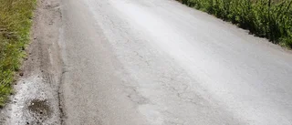 Stensundsvägen får tillbaka nygammal trädallé