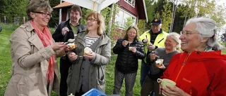 Nio dagars rabarberfest i hela Sörmland