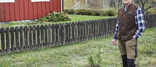 Gräset förstörs av plogningen