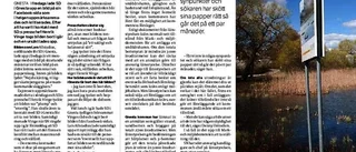 "Grus i maskineriet" kan stoppa badplats