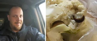 Blomkålen var full av sniglar